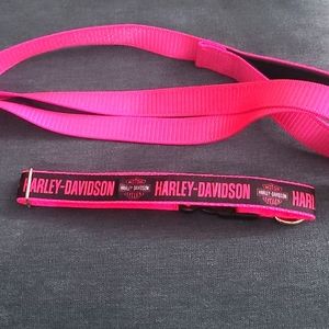 Harley davidson collar and lease